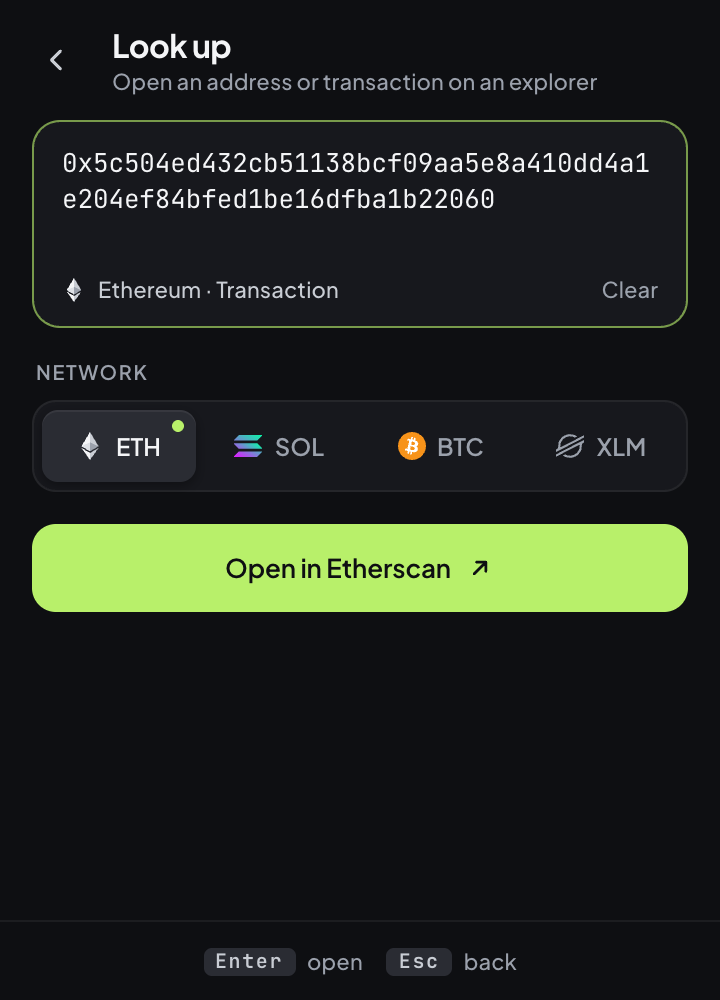 A pasted transaction hash detected as Ethereum, with Open in Etherscan